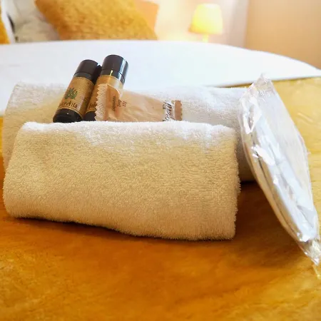 Helvetios Yourhosthelper Caen